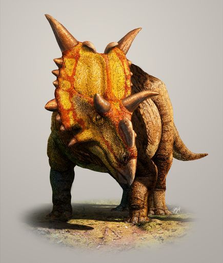 Xenoceratops