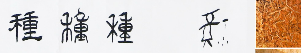 種(漢語漢字)