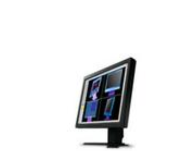 Eizo FlexScan L985EX