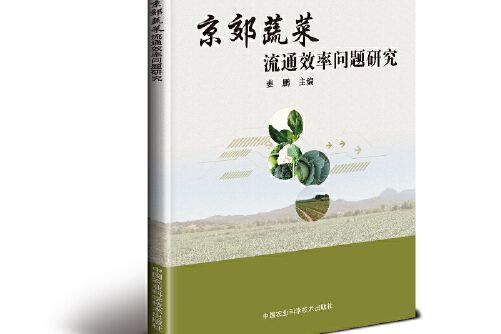 京郊蔬菜流通效率問題研究京郊蔬菜流通效率問題研究