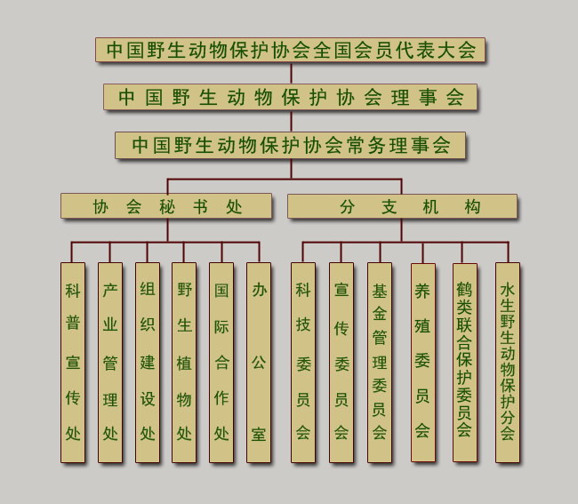 中國野生動物保護協會組織機構圖