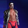 Icon Sting