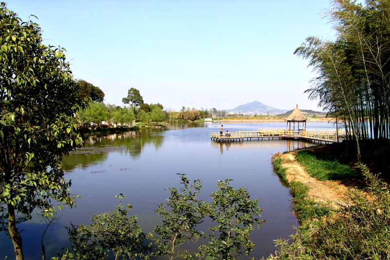 美人谷森林公園