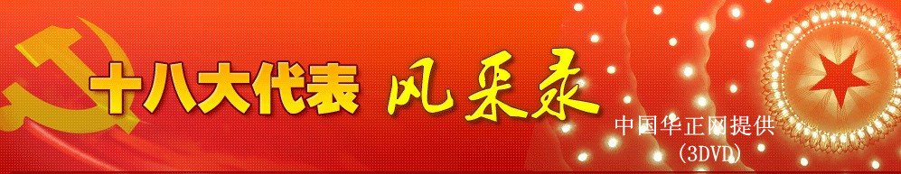 十八大代表風采錄