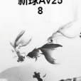 新球Av258