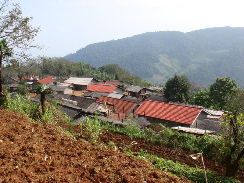 焦山下寨村