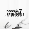 boss來了，嬌妻快跑！