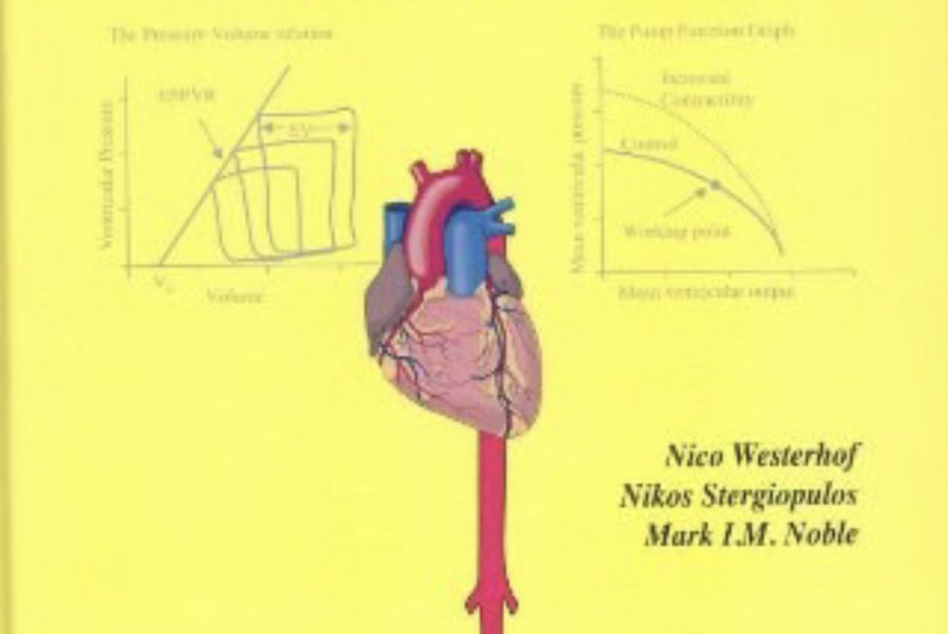 Snapshots of Hemodynamics