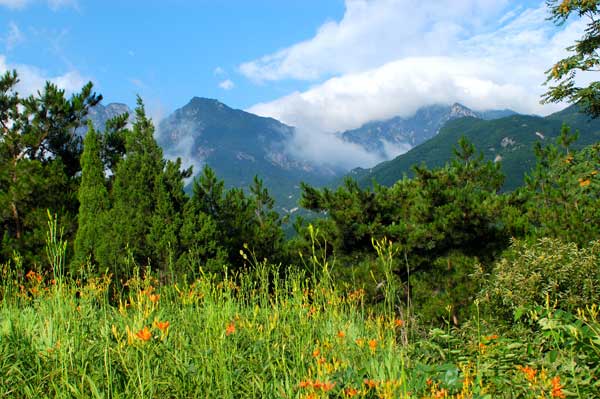 黃柏山國家森林公園