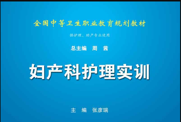 婦產科護理實訓(2015年科學出版社出版的圖書)