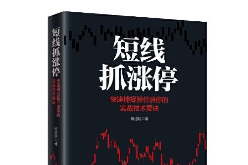 短線抓漲停(2020年中國經濟出版社出版的圖書)