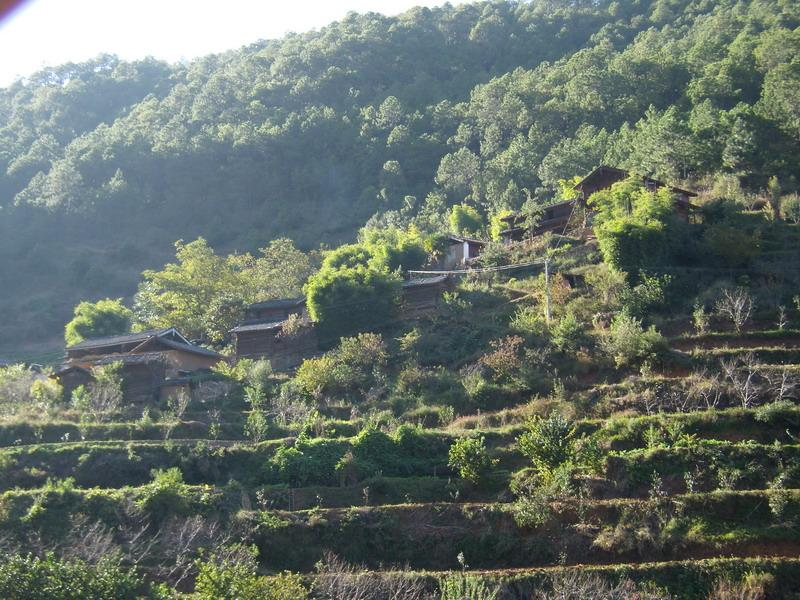 定箐大水井村