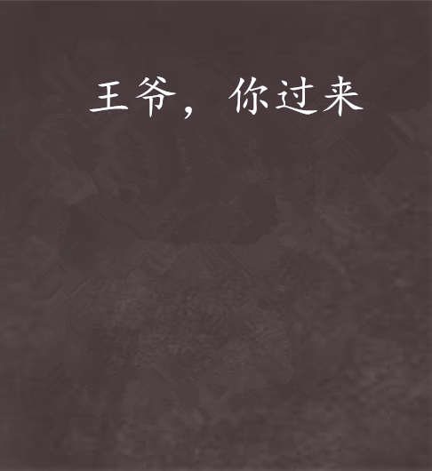 王爺，你過來(金大創作的網路小說)