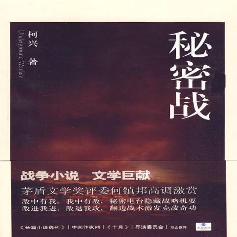 秘密戰(2009年江西教育出版社出版的圖書)