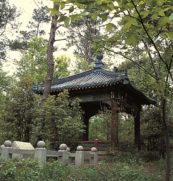 南京紫金山國家森林公園(紫金山國家森林公園)