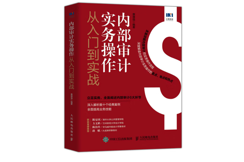 內部審計實務操作從入門到實戰(2022年人民郵電出版社出版的圖書)