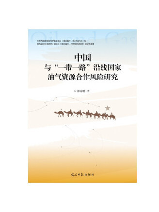 中國與“一帶一路”沿線國家油氣資源合作風險研究