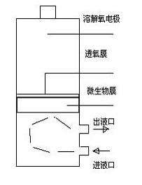 微生物電極