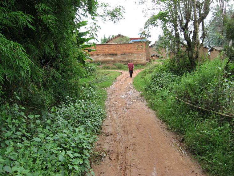 進村道路