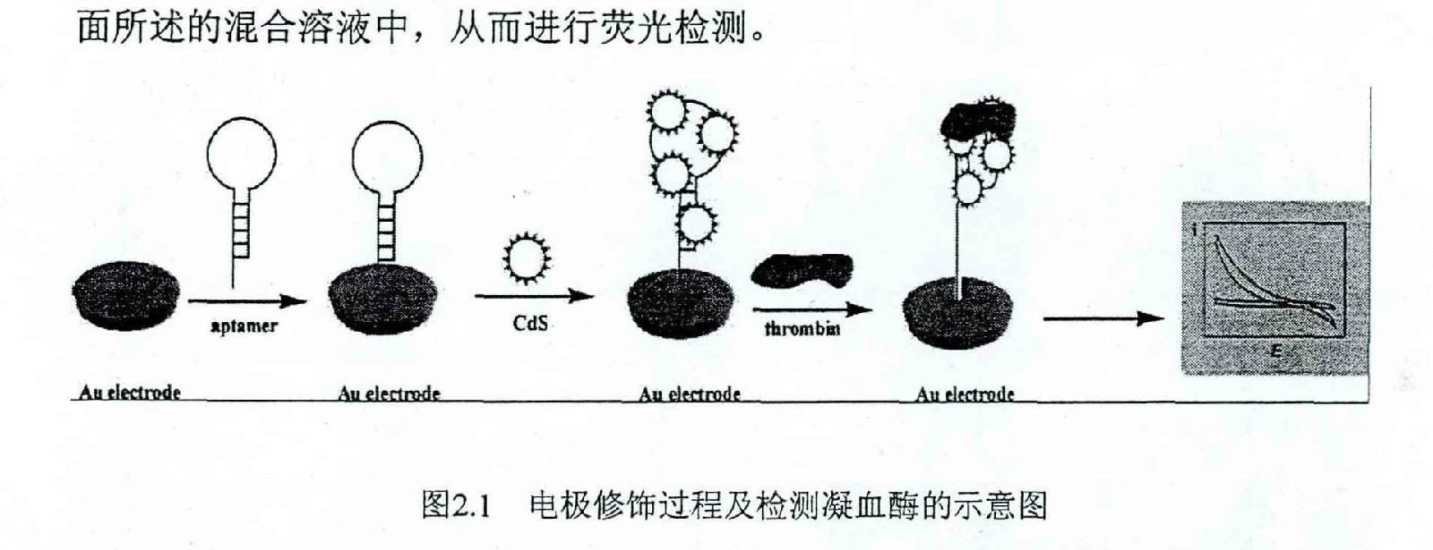 基於電化學核酸適配體感測器