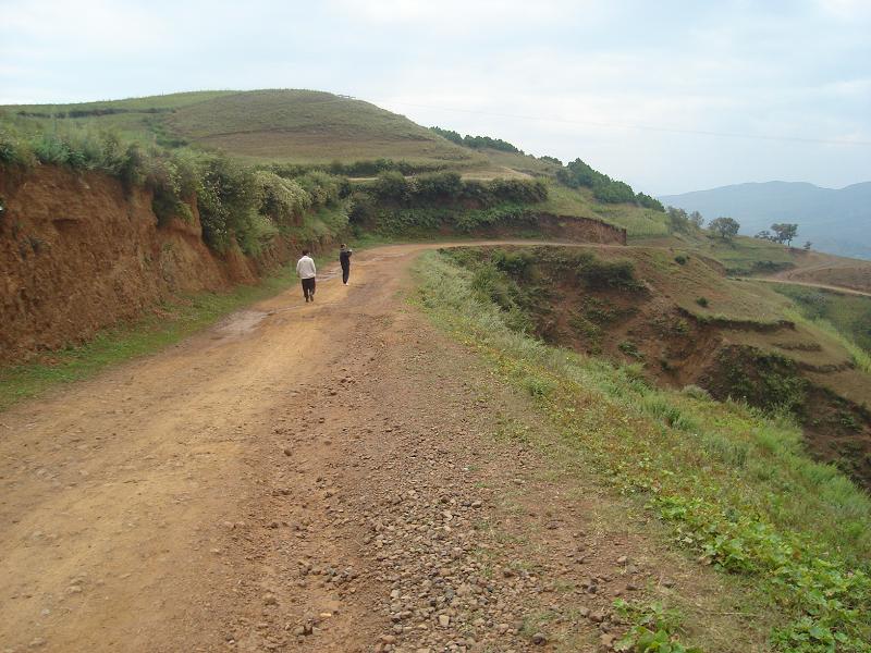 進村道路