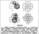 螺旋卵裂