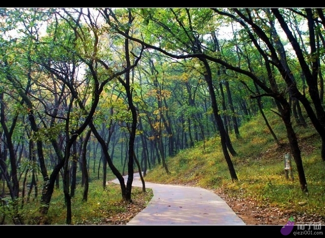 白土村(安徽宿州市蕭縣白土鎮白土村)