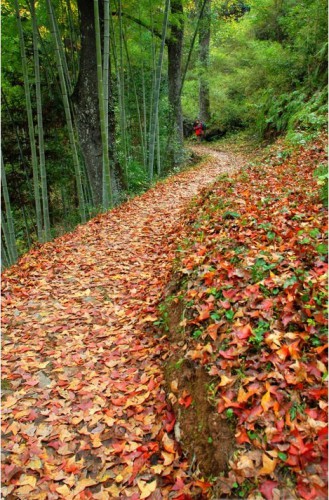 三灘溪古道