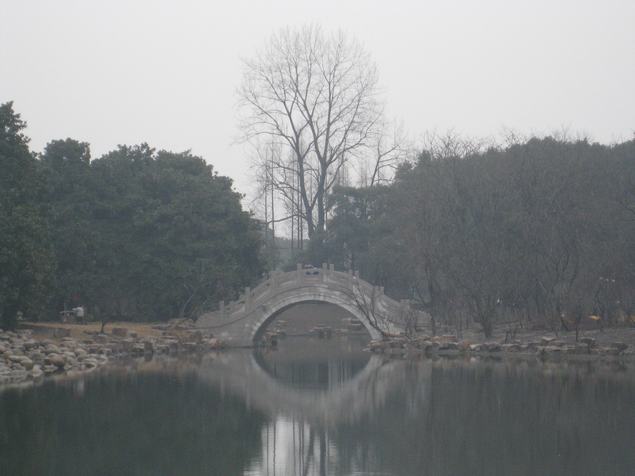 上海植物園科研中心拱橋