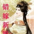 錯嫁新娘(雪雅蓮所著小說)