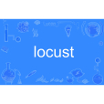 locust