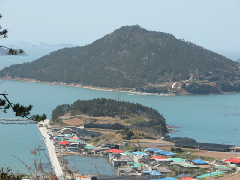 蘆花島