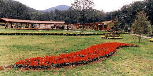 徐州泉山國家森林公園