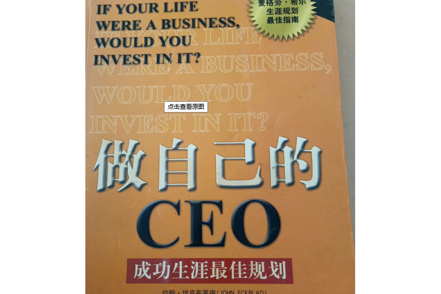 CEO生涯