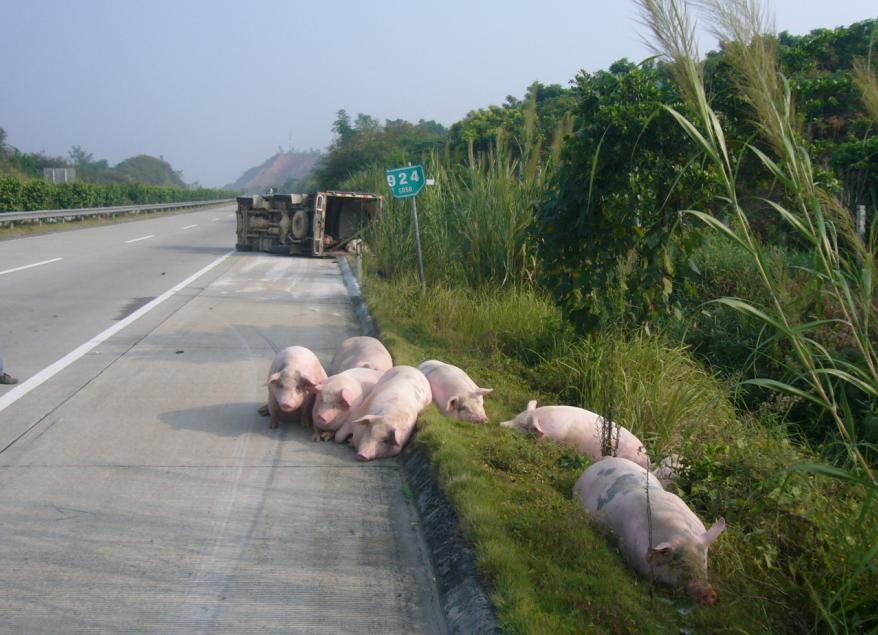 都安—南寧高速公路