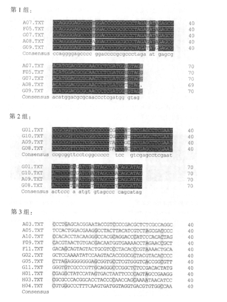 河魨毒魚DNA隨機掃描