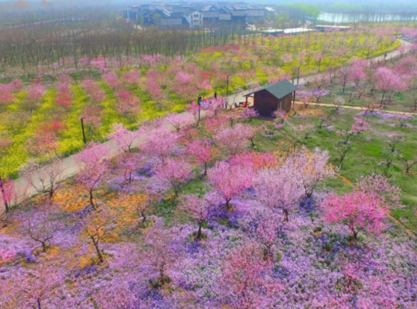 江蘇三台山國家森林公園