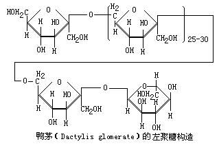 左聚糖