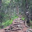 太白山區域森林步道