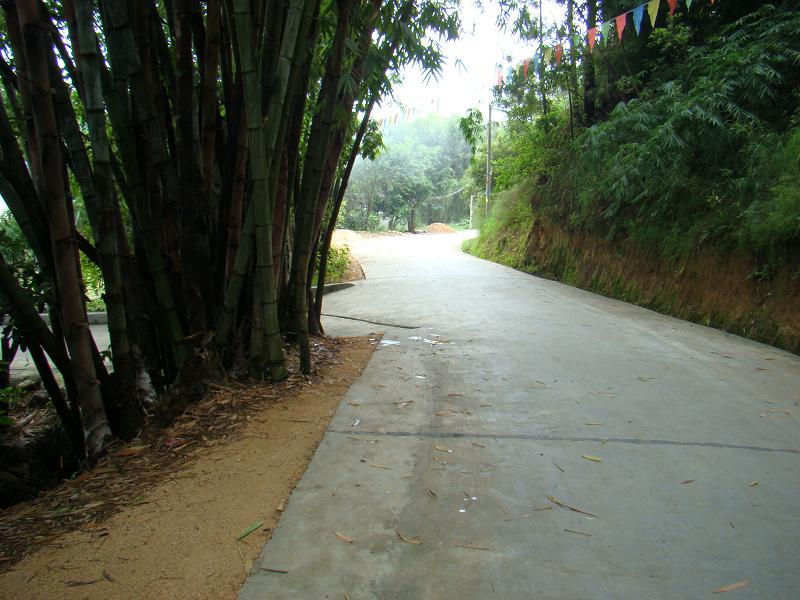 西山村自然村通村道路