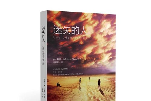 迷失的人(2016年上海人民出版社出版的圖書)