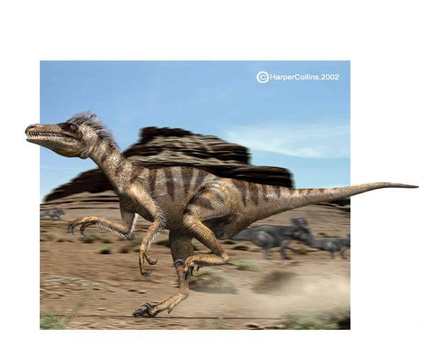 velociraptor