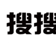 深圳市搜搜搜網路技術有限公司