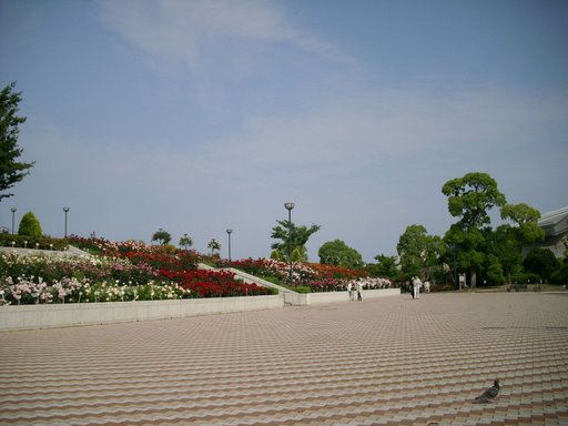 綠公園