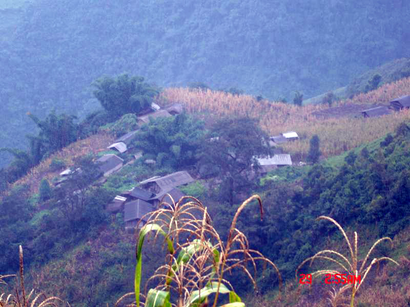 凹子寨村(老窩白族鄉雲西村委會行政村)