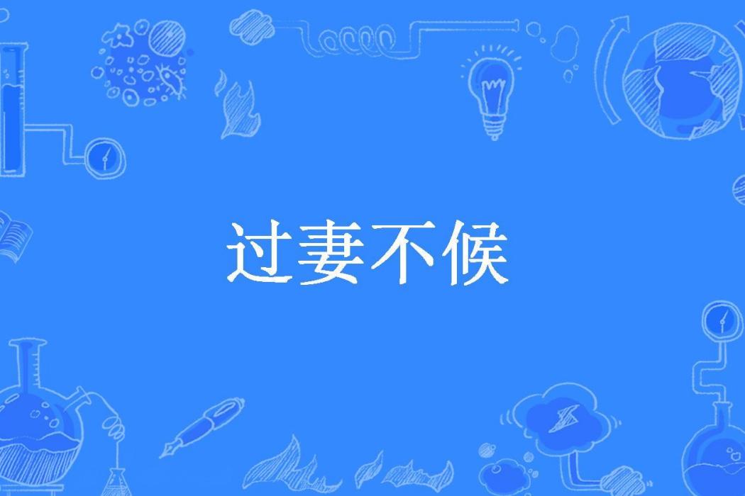 過妻不候(藍淺淺所著小說)