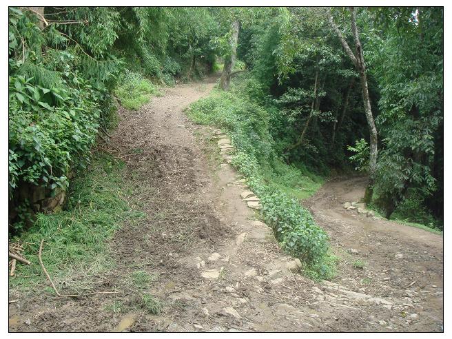 老箐頭自然村通村道路