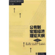 公有制巨觀經濟理論大綱(1994年上海三聯書店和人民出版社出版的圖書)