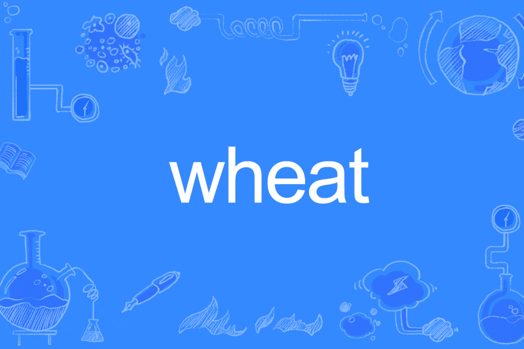 wheat