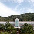 松湖大學